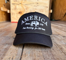 Load image into Gallery viewer, American Bison 1776
