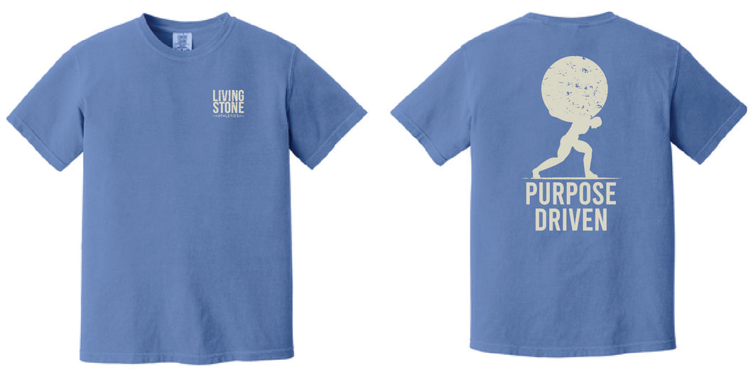 LS Comfort Colors Tee