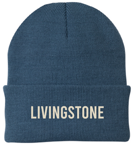 LS Embroidered Beanie