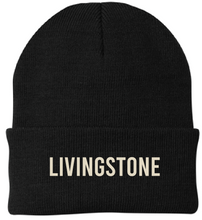 Load image into Gallery viewer, LS Embroidered Beanie