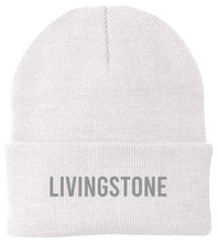 Load image into Gallery viewer, LS Embroidered Beanie