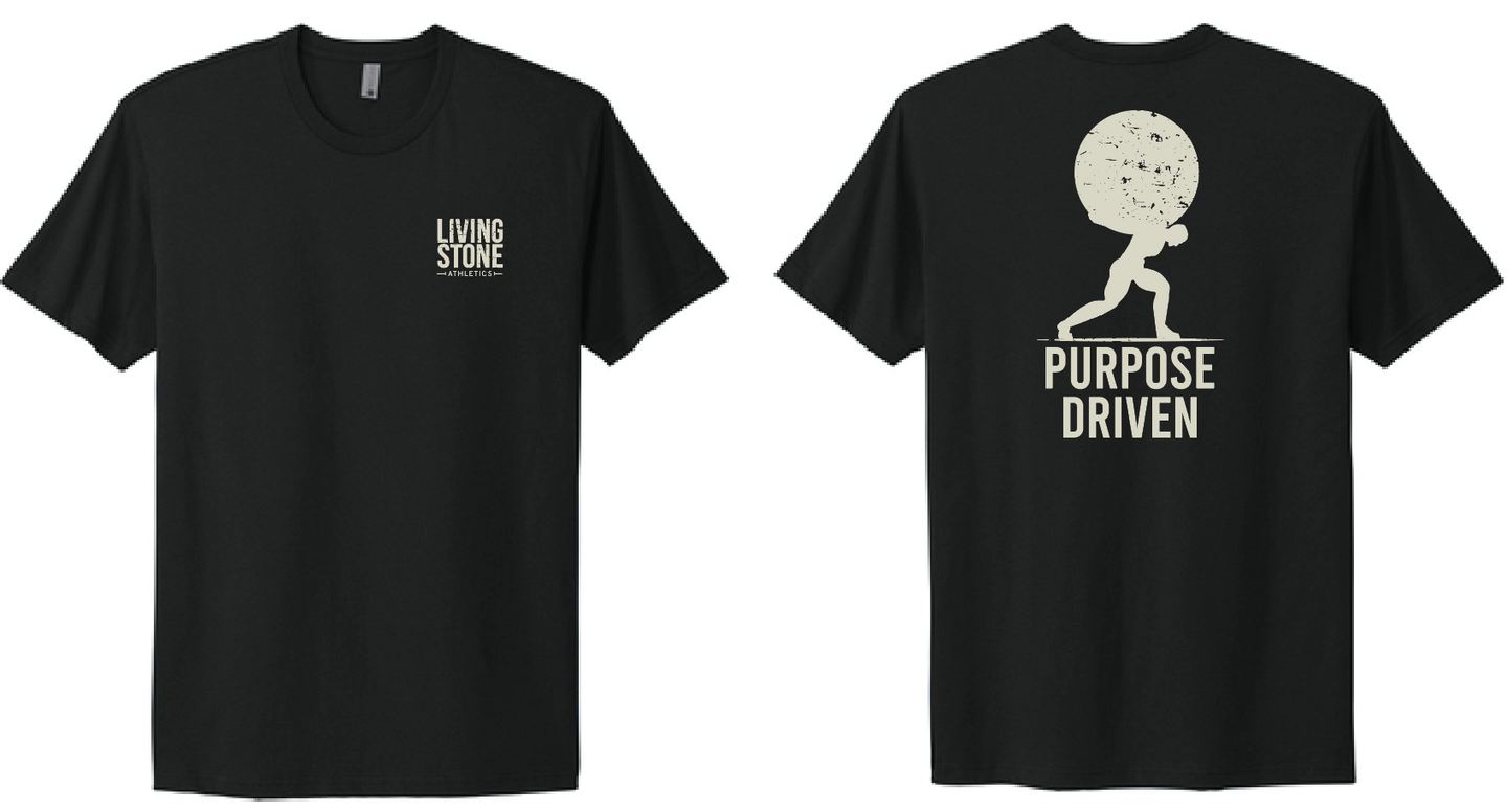 LS Next Level Tee